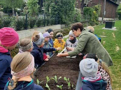 Hochbeete für das Grüne Klassenzimmer Bild