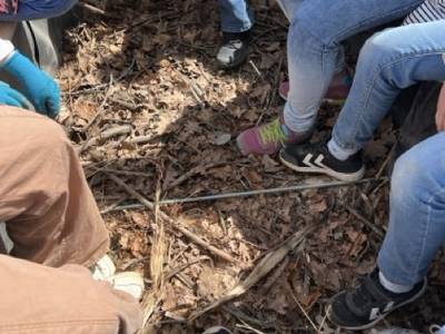 Hochbeet für Schüler:innen Umsetzung Bild 1